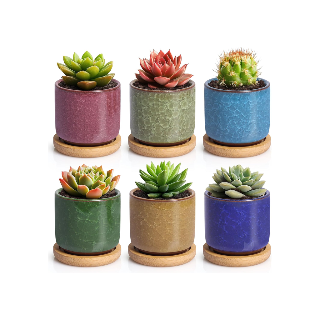 Małe ceramiczne doniczki – zestaw 6 szt., 6,3 cm, z podstawką i drenażem, do sukulentów
