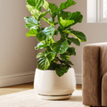 Ceramiczna doniczka 30 cm – z drenażem i podstawką, zaokrąglony design, reaktywny beż