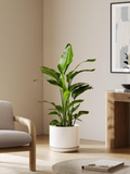 Ceramiczna doniczka 30 cm – z drenażem i podstawką, minimalistyczny design, biała